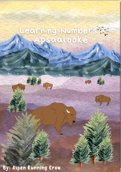 Learning Numbers ApsaaLooké Book